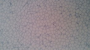 湖南和能达建筑装饰工程塑料地板与塑料装饰材料产品总览